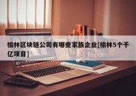 榆林区块链公司有哪些家族企业[榆林5个千亿项目]